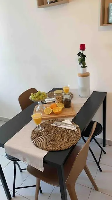 Apartament Le Tony Garnier Check In H24 Wifi Lyon 0*,