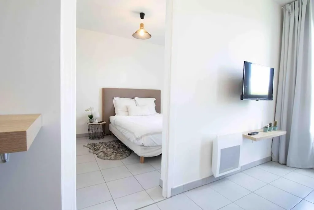 Apartament Le Tony Garnier Check In H24 Wifi Lyon